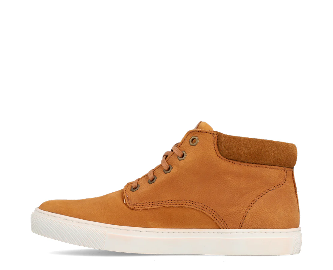 Dakar Kenya - Image 3