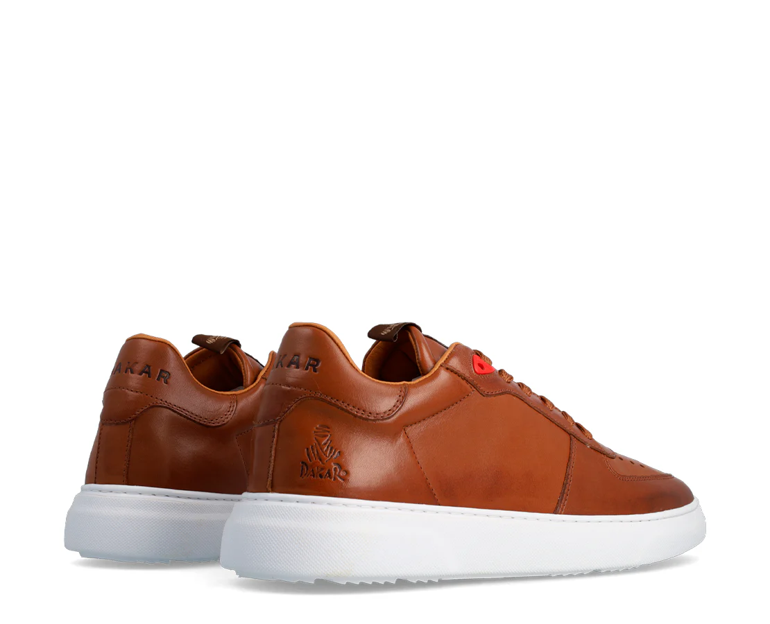 Dakar Mojave - Image 5