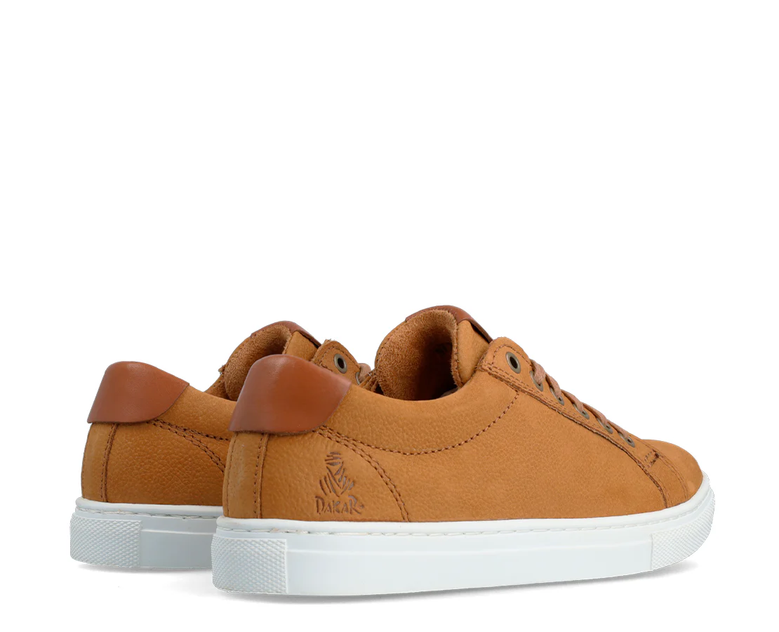 Dakar Pisco Low - Image 5